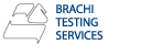 logo Brachi Testing Services